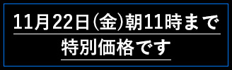 11月22日（金）